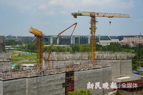 申城規(guī)模最大的保障性租賃住宅項目加緊施工