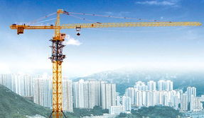 重慶市萬州區騰迅建筑設備租賃 專業塔吊租賃服務，助力萬州城市建設